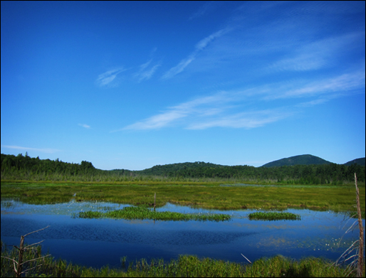 Adirondack Wetlands:  Heron Marsh from the Heron Marsh Trail at the Paul Smiths VIC (22 July 2011)